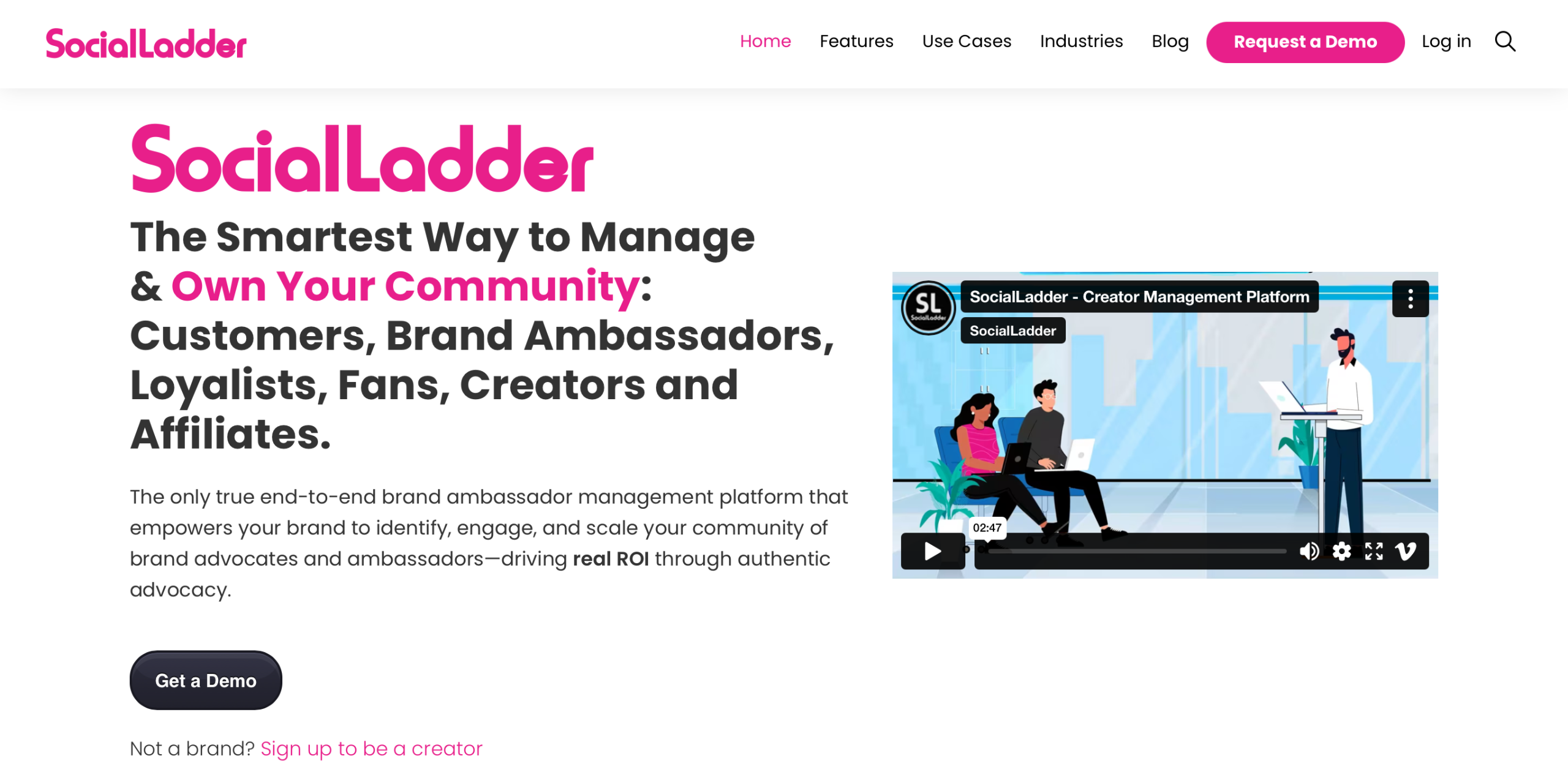 Screenshot of the SocialLadder Brand Ambassador Management Solution Homepage