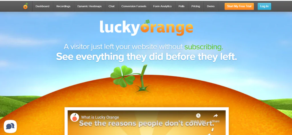 Lucky Orange_Heat Mapping Tool