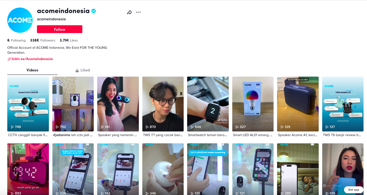 Low-budget TikTok advertising techniques trending content examples