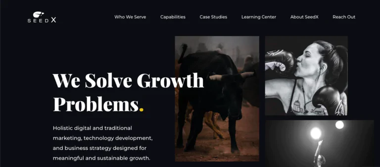 Seedx homepage