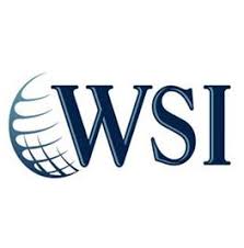 WSI logo