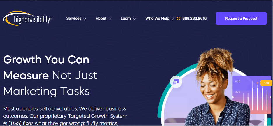 A Screenshot of HigherVisibility SEO company homepage