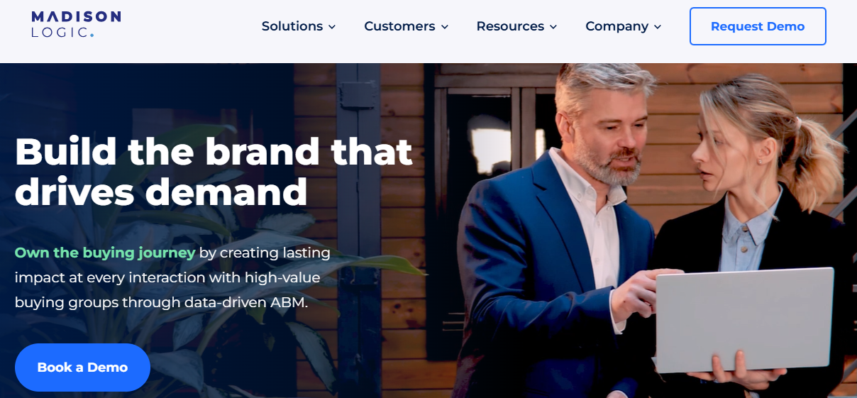 Screenshot of the Madison Logic ABM