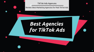 Stock feature from Canva that says "best agencies for TikTok ads"