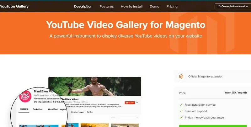 Elfsight YouTube Gallery Review