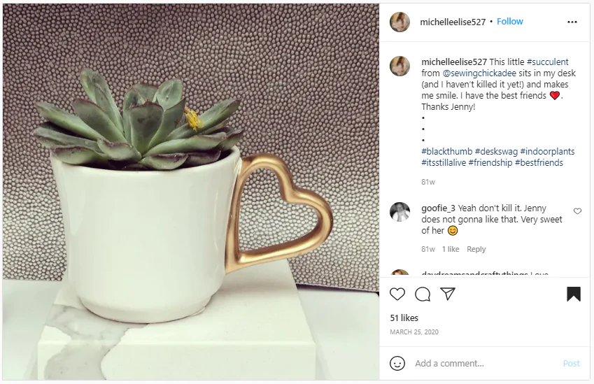 Employee rewards - potted plant for their desk