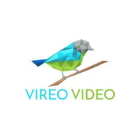 Vireo Video YouTube marketing agencies