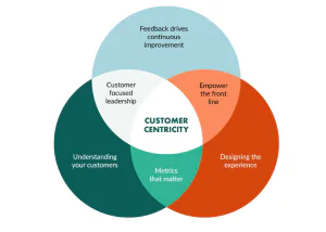 Customer-centric Ecommerce copy stats