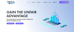 Rosa eSolutions Outreach Agency Homepage