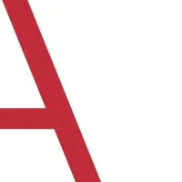 anomaly_paid media agency