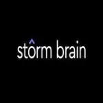 Storm Brain Logo
